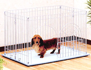 パピヨンが我が家に!ブリーダーから迎える前に