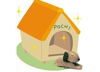 愛犬の環境を整える