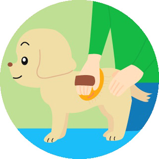 コミュニケーション