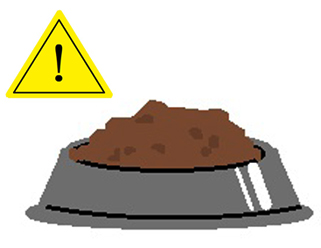 ドッグフードの注意点