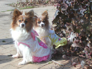 信頼関係を築く